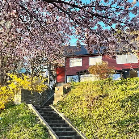 Mountain View Totoro - Spacious & Sunny